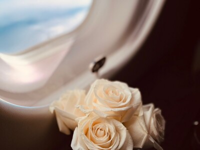 private aviation 1005