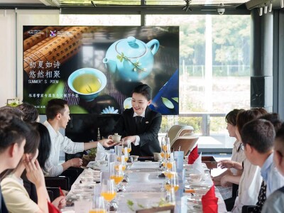tiba china 100113