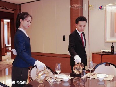 tiba china 100118